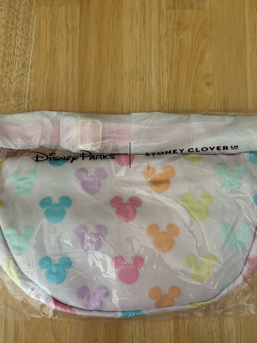 Stoney Clover Lane x Disney Pastel Rainbow Mickey Mouse Icon Head x Jumbo Fanny - Picture 6 of 10